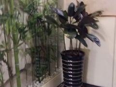 -肘子酥·天津菜·特色捞面(德云社店)