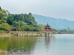 -东莞市大岭山森林公园