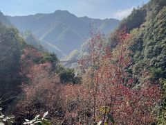 -大盘山温泉山庄