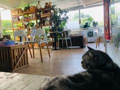 -小时光咖啡馆(北锣鼓巷店)