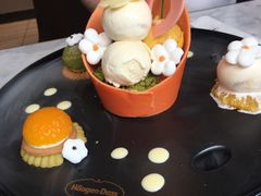 -哈根达斯(武汉天地店)