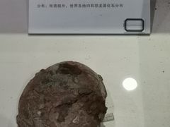 -中国第四纪冰川遗迹陈列馆