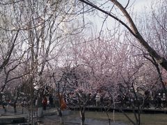 -三里河公园
