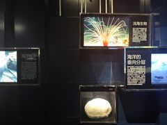 -同济大学四平路校区深海探索馆