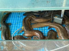 -潇湘·永州会馆(百子湾店)