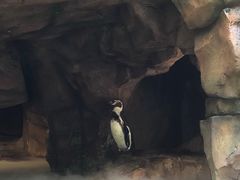 -长鹿旅游休博园