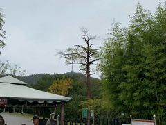 -敬亭山风景名胜区