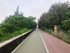 -北海金海湾红树林生态旅游区