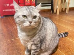 -H立方实景剧情密室(天河旗舰店)