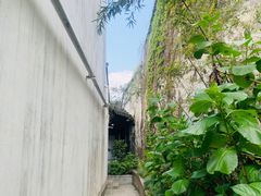 -黎里古镇