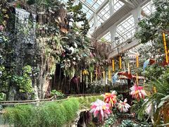 -正佳雨林生态植物园