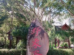 -野象谷景区