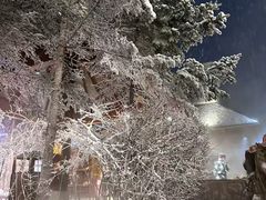 -长白山万达锦华套房酒店