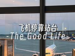 -青岛胶东国际机场