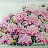 缤纷世界🌈，哪里少的了花朵的点缀💐！