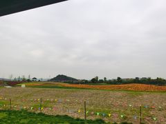 -径山花海