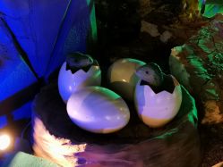 -恐龙探索乐园(磁器口店)