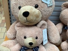 -济州岛泰迪熊博物馆