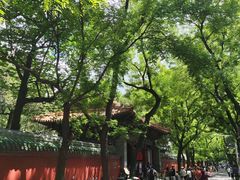 -北京国子监胡同