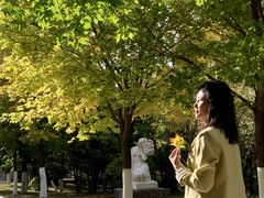 -长春世界雕塑园冰雪艺术天地