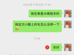 -宠小格时尚宠物生活馆(唐镇店)