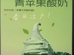 -野人先生现做冰淇淋(北京王府井东方新天地店)