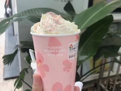 -伏小桃(明瓦廊店)