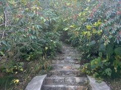 -北京西山国家森林公园