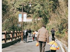 -杭州半山国家森林公园