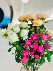 -WENDY·温迪皮肤管理