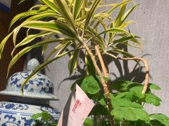 -陈熹公民族美食文化餐厅(中华广场店)