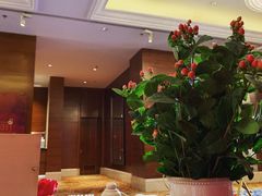 -上海雅居乐万豪侯爵酒店