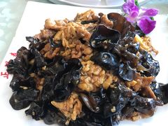 -正阳春鸭子楼(汉沽店)
