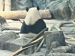 -武汉动物园