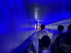 -白鹤梁水下博物馆