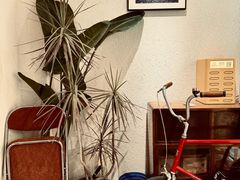 -有肉食·虎九闽菜(798艺术区店)