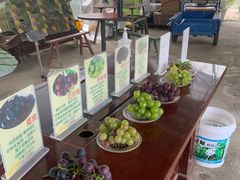 -马陆小张葡萄园农家乐