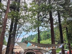 -武陵山森林公园