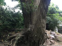 -沪东工人文化宫