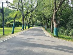 -东湖落雁景区
