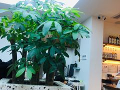 -Line 咖啡(石厦花园店)