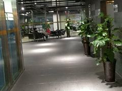 -云杉健身(经三店)