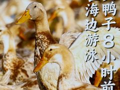 -虎婆冷饮店·海南特色炒冰(三亚湾店)