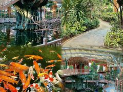 -南宫五洲植物乐园