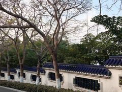 -鼓浪屿