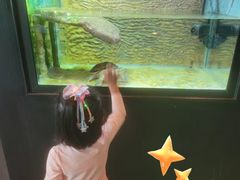 -屯门公园