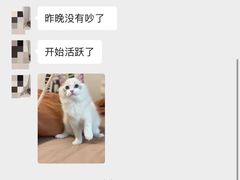 -Bastet sally猫舍购宠(静安店)