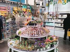 -KKV(深圳kk one 店)