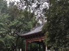 -汇龙潭