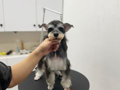 -comecome来吧宠物(奥克斯中心店)